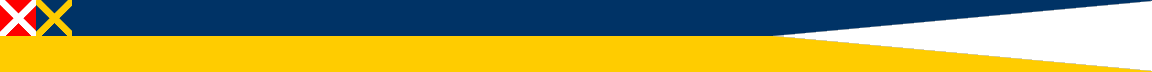 [Flag of commander of a squadron]