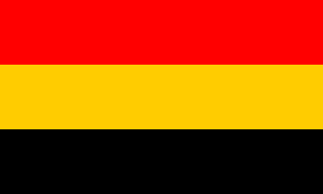 [ Waikato sport fan flag ]