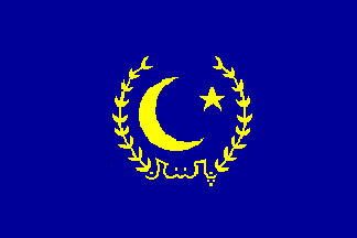 [Old Presidential Flag of Pakistan]