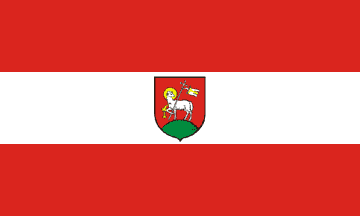 [Wieluń county flag]