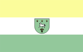 [Domaniewice old flag]