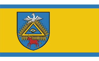 [Sokolniki ceremonial flag]