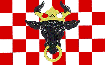 [Kalisz county flag]