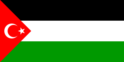 [Turkish-Palestinian Solidarity Flag]