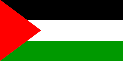 Palestinian Flag 3x5 ft Palestine Free State Independent National Homeland 