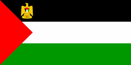 [State Flag Variant 2 (Palestine)]