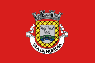 [Murtosa municipality]