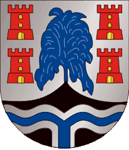 [São Pedro do Sul municipality CoA]