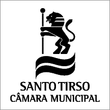 [Santo Tirso municipal logo]