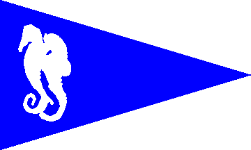 Clube Naval de Ponta Delgada flag