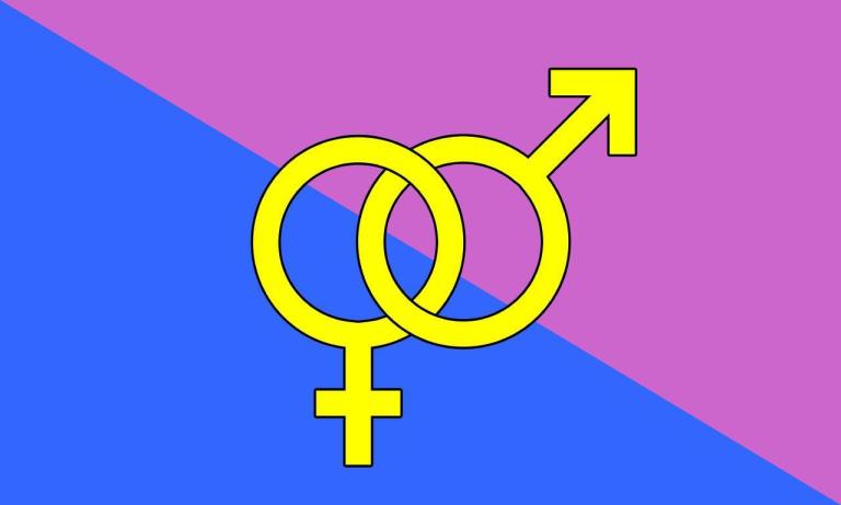 [2019 Straight Pride flag]