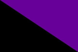 black/purple flag of anarchism