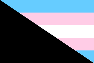 [Diagonal trans-anarchy flag]
