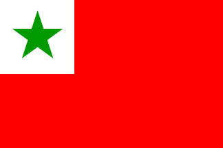 Woman Dodge privacy Flags of Esperanto