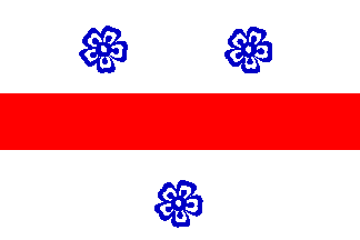 [flag of Cs�kszereda, Harghita County]
