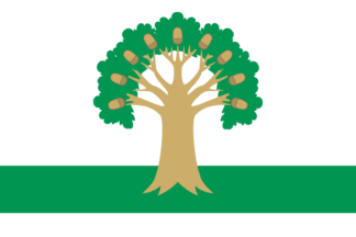 Flag of Arkhangelsky District