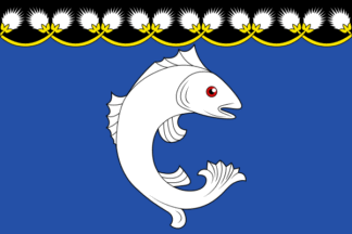 Suoyarvskoe flag