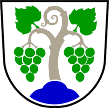 [Coat of arms of Vipava]