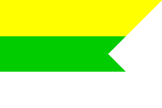 Snina flag