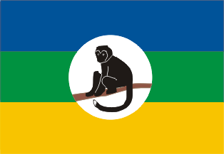 Flag Monkey