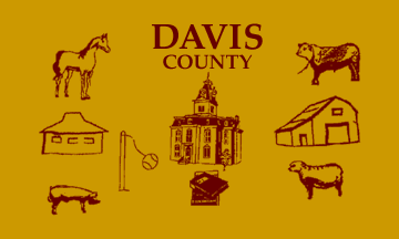 [Former Flag of Davis County, Iowa]