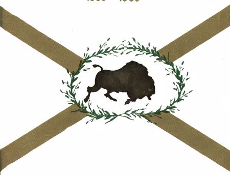 [Buffalo Grove, Illinois flag]