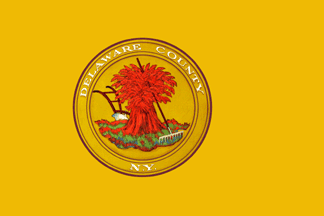 [Flag of Delaware County, New York]