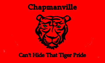[Flag of Chapmanville, West Virginia]