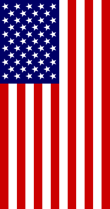 [U.S. Flag Vertical Hanging]