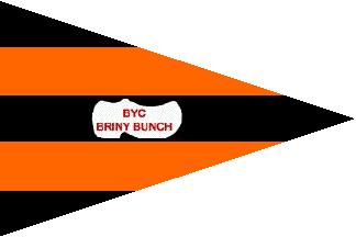 balboa yacht club flag