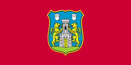 post-Medieval shield